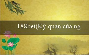 188bet(Kỳ quan của người Maya Thành phố Rực Rỡ)